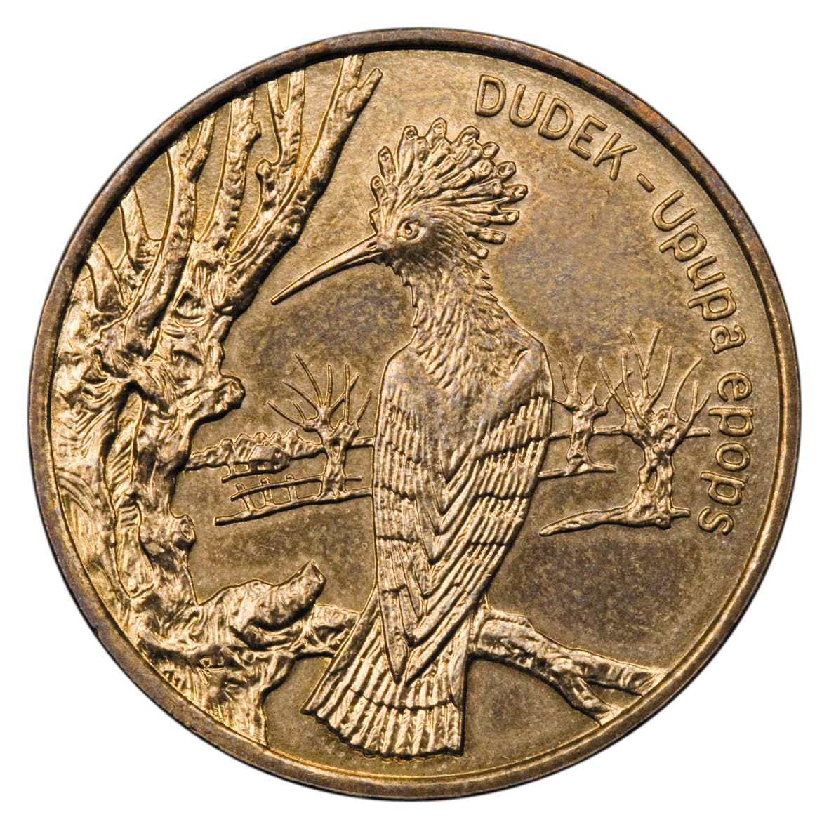 2 zł / 2000 r. - Dudek