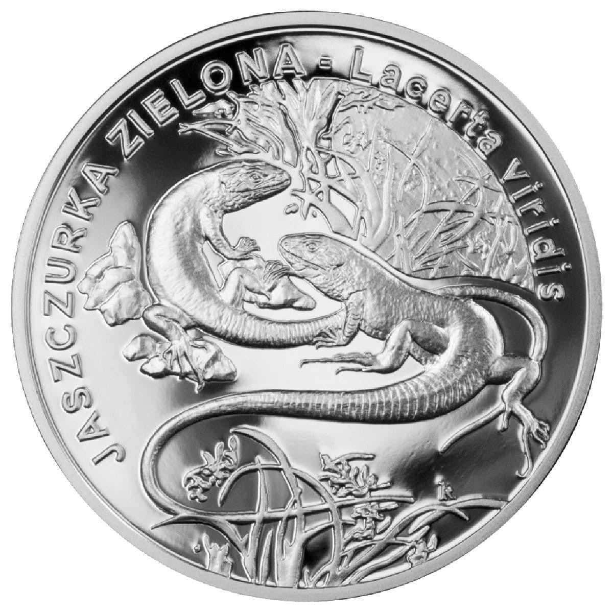 20 zł / 2009 r. - Jaszczurka zielona