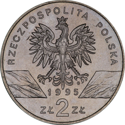 2 zł / 1995 r. -  Sum