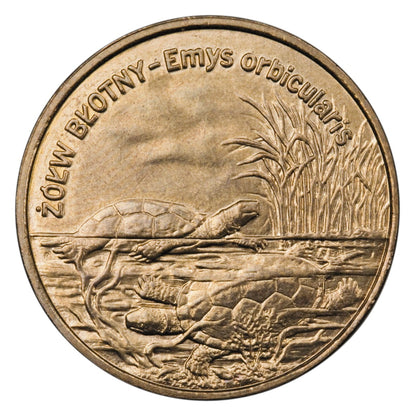 2 zł / 2002 r. - Żółw błotny