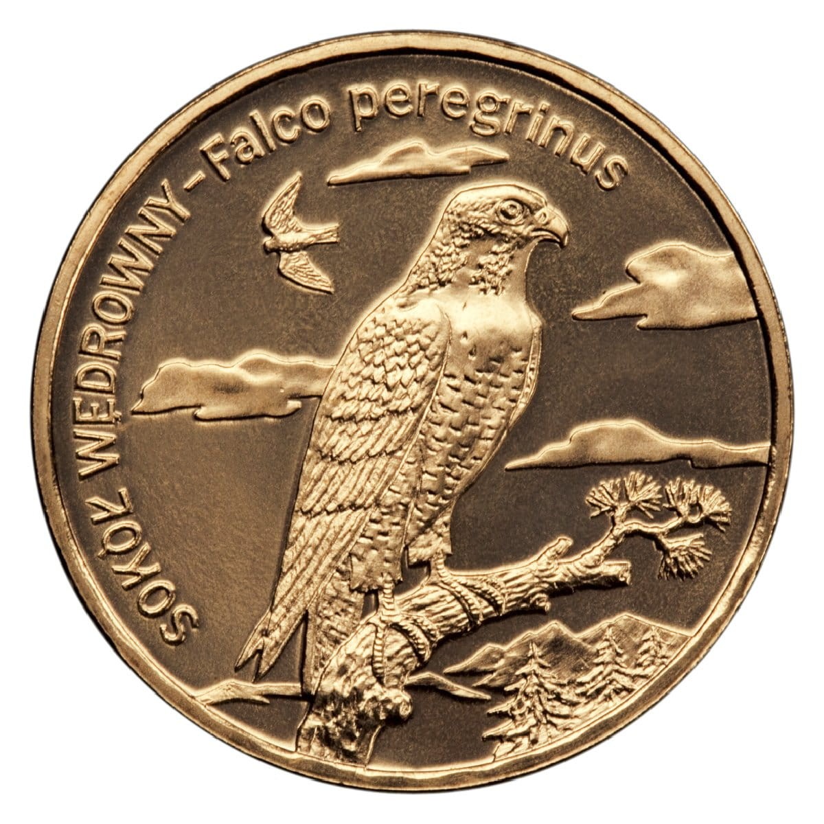 2 zł / 2008 r. - Sokół Wędrowny