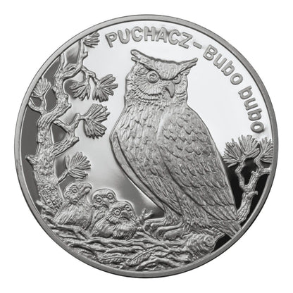 20 zł / 2005 r. - Puchacz
